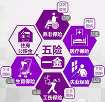 信息咨詢服務的價格、批發與廠家指南