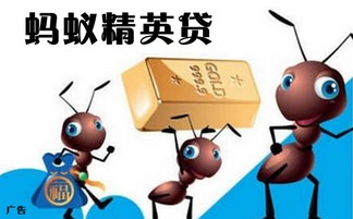 陜西興海普惠信息咨詢服務(wù)有限旬陽(yáng)分公司 專業(yè)信息咨詢服務(wù)的領(lǐng)航者