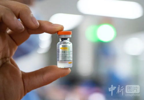 記者直擊 北京技術(shù)打造的新冠疫苗“真容”首度曝光